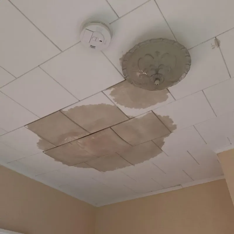 Ceiling Water Damage Repair in North Wantagh, NY